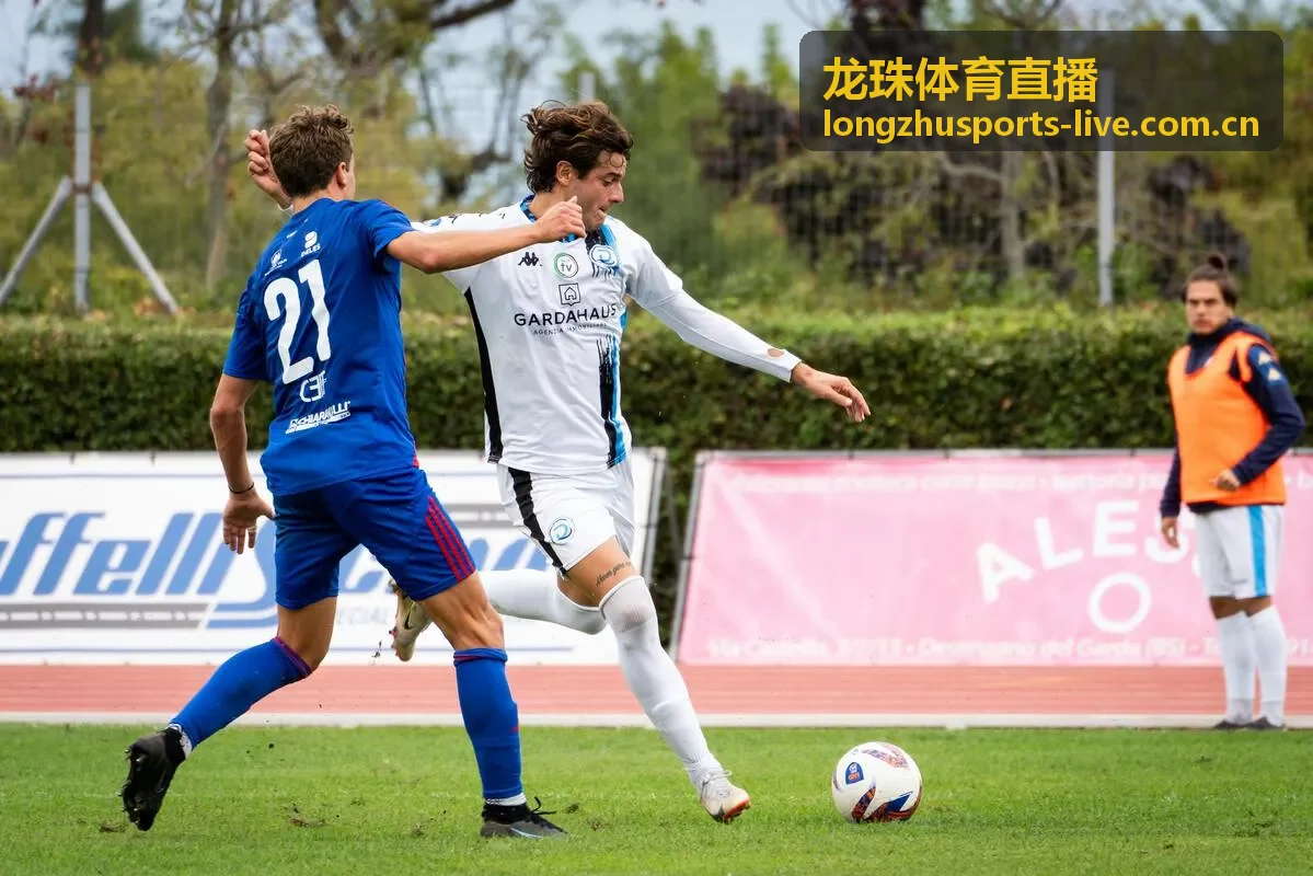 龙珠体育直播篮球赛事伤病更新